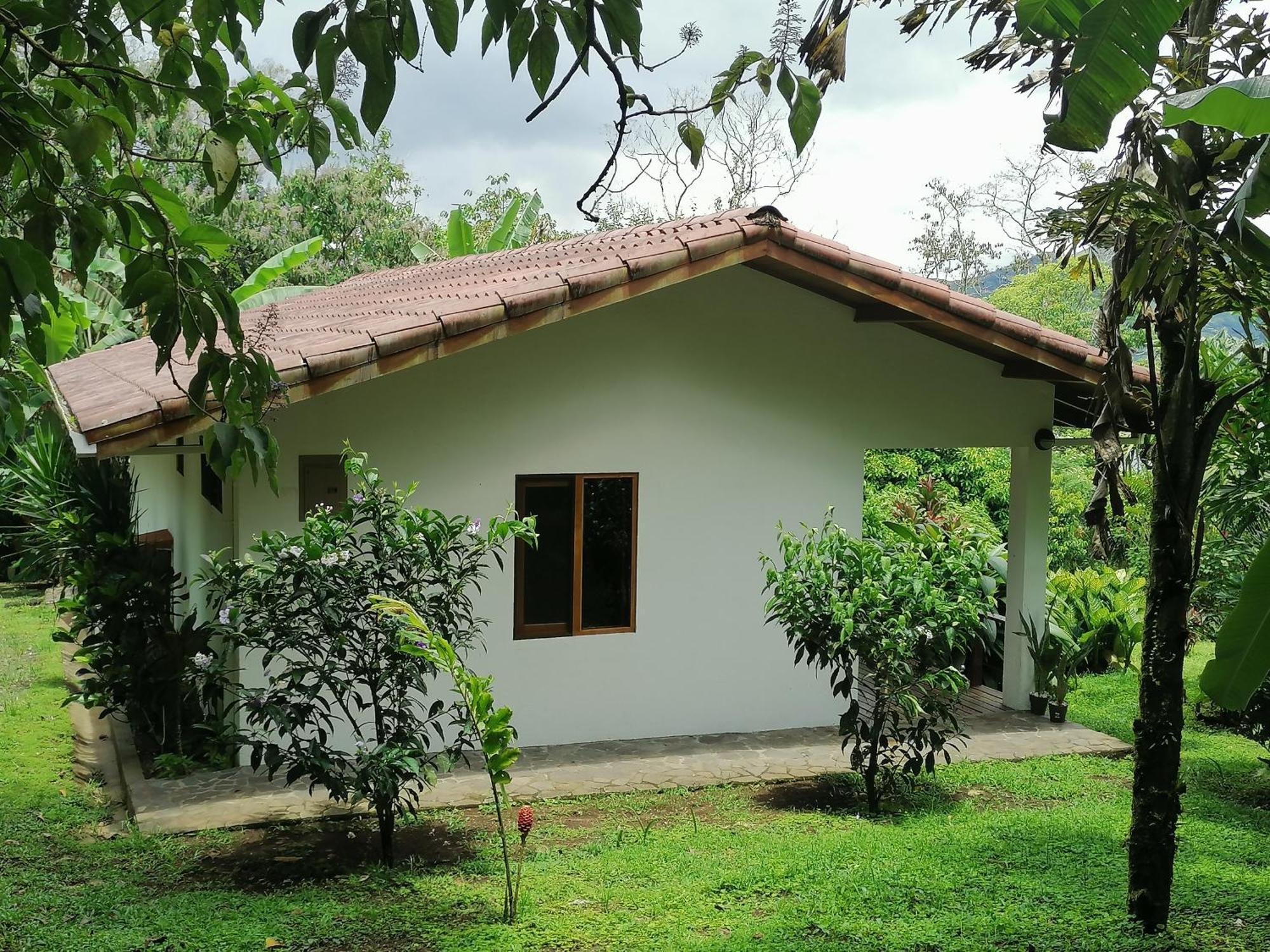 La Ceiba Tree Lodge Тиларан Экстерьер фото