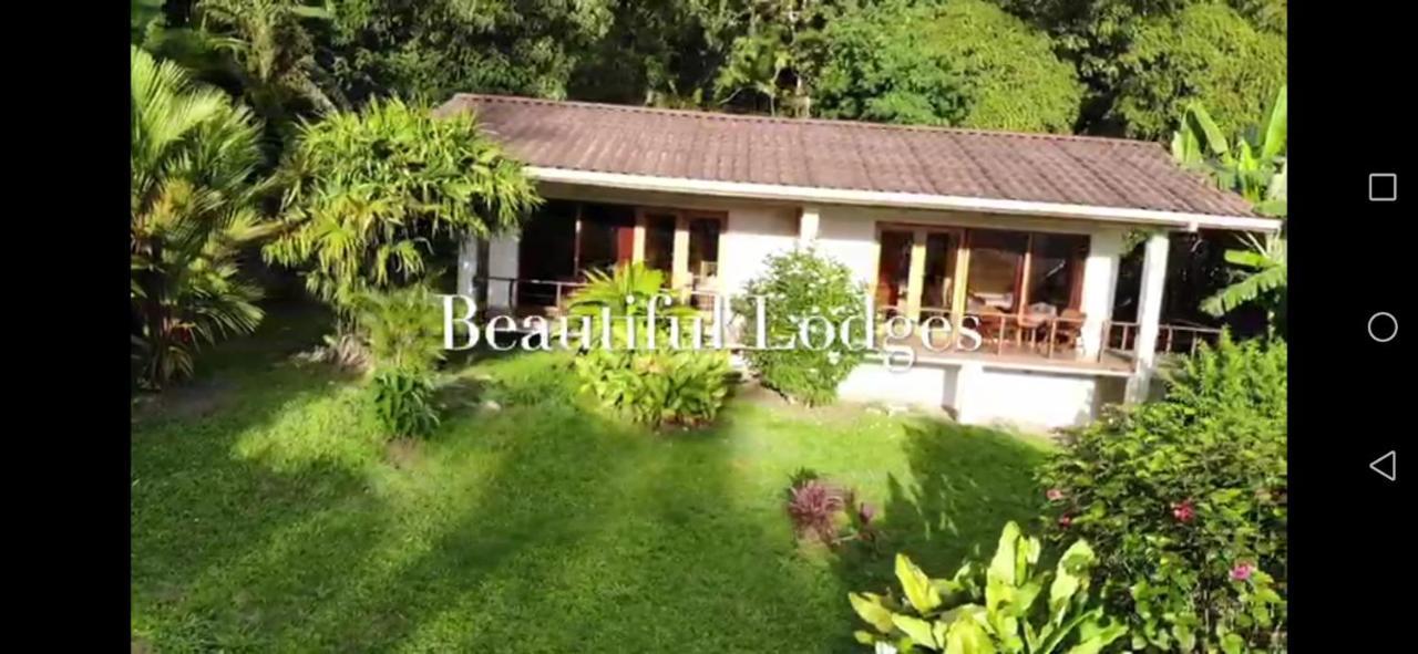 La Ceiba Tree Lodge Тиларан Экстерьер фото